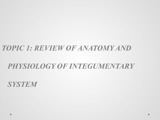 Comprehensive Review of the Anatomy and Physiology of the Integumentary ...