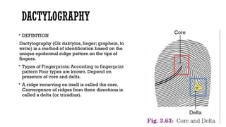 Dactography Types SKIN ANATOMY AND ITS MLI DR SAhhHIL.pptx