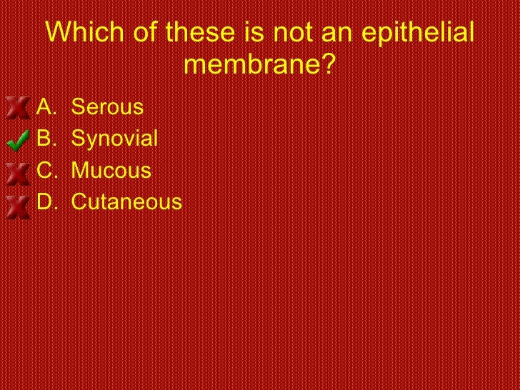 Skin And Body Membranes Skin And Body Membranes