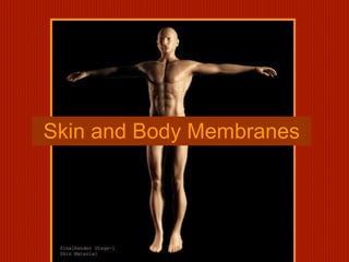 Skin and Body Membranes 