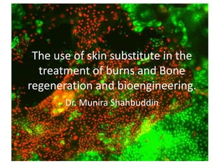 The use of skin substitute in the
treatment of burns and Bone
regeneration and bioengineering.
Dr. Munira Shahbuddin
 