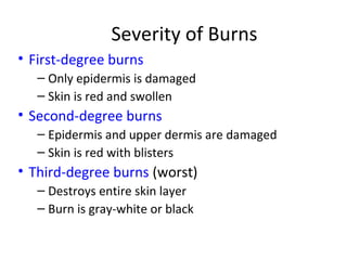 Severity of Burns
• First-degree burns
– Only epidermis is damaged
– Skin is red and swollen
• Second-degree burns
– Epidermis and upper dermis are damaged
– Skin is red with blisters
• Third-degree burns (worst)
– Destroys entire skin layer
– Burn is gray-white or black
 