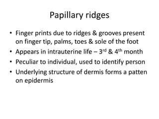 skin and fascia detailed ppt and pdf download here by Dr anukool duvedi ...