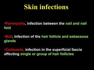 skin and fascia detailed ppt and pdf download here by Dr anukool duvedi ...