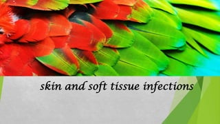 skin and soft tissue infections
 