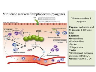 Skin and soft tissue infections 26 march 18 | PPT