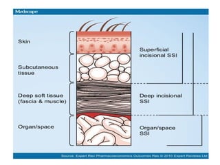 Skin and soft tissue infections 26 march 18 | PPT