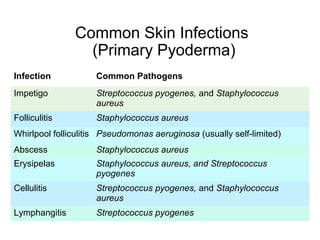 Pyoderma Bacterial Infection Skin and soft tissue infections 26 march 18 | PPT