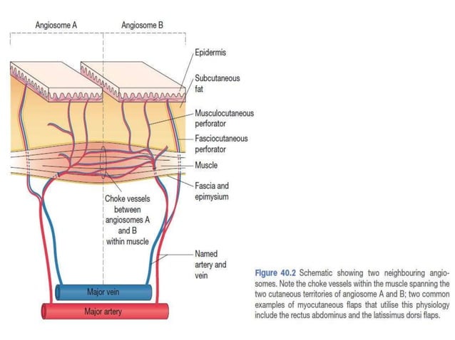 skin and subcutaneous swelling presentation | PPTX