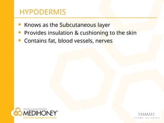 Skin and Wound Pathophysiology treatment | PPT