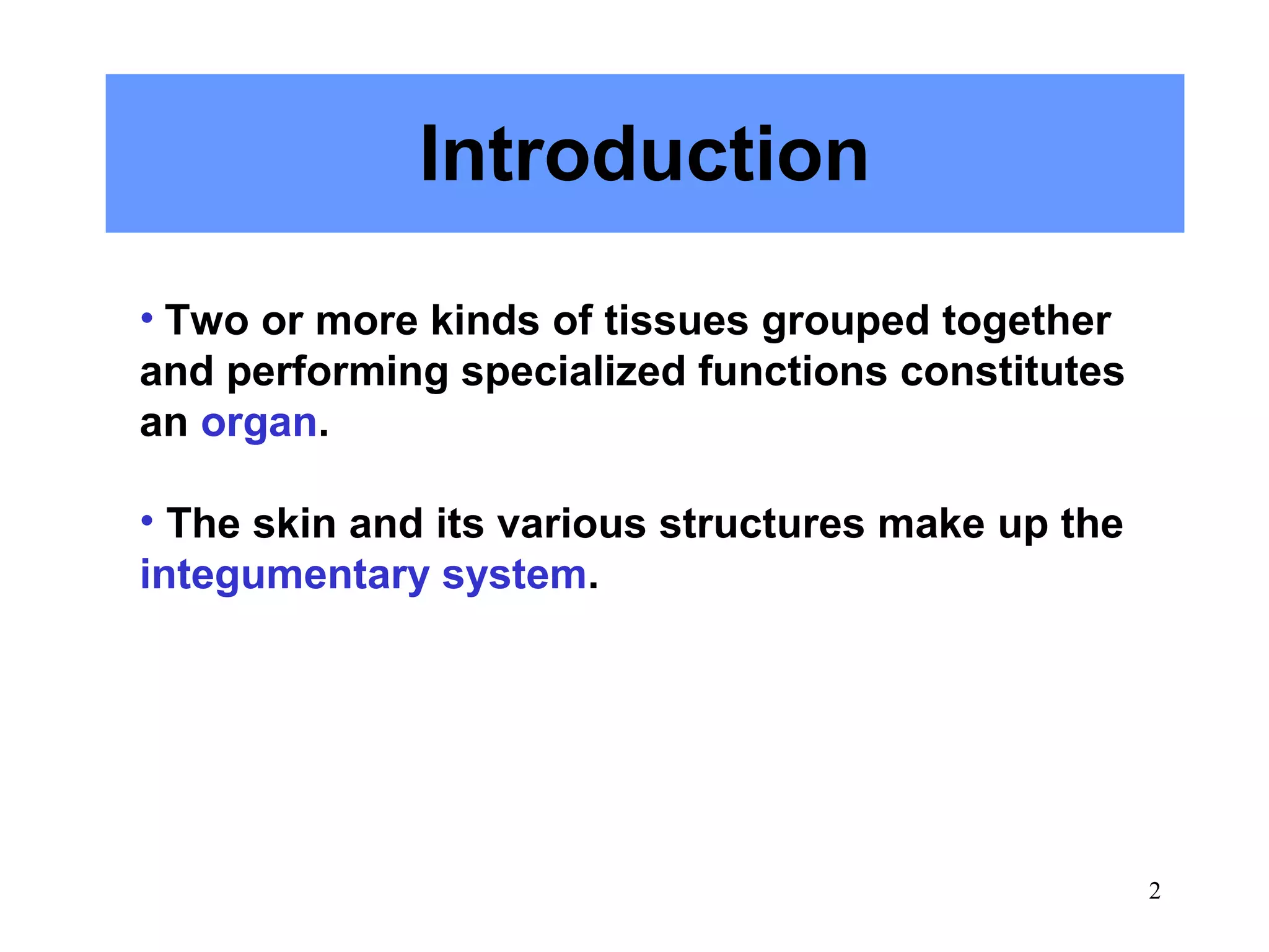 Introduction
• Two or more kinds of tissues grouped together
and performing specialized functions constitutes
an organ.

• The skin and its various structures make up the
integumentary system.




                                                    2
 