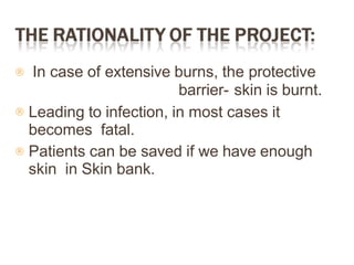 


In case of extensive burns, the protective
barrier- skin is burnt.
Leading to infection, in most cases it
becomes fatal.
Patients can be saved if we have enough
skin in Skin bank.
 