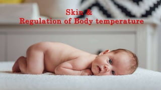 Skin &
Regulation of Body temperature
 