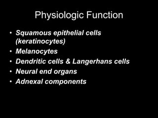 Physiologic Function
• Squamous epithelial cells
(keratinocytes)
• Melanocytes
• Dendritic cells & Langerhans cells
• Neural end organs
• Adnexal components
 