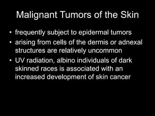 Malignant Tumors of the Skin
• frequently subject to epidermal tumors
• arising from cells of the dermis or adnexal
structures are relatively uncommon
• UV radiation, albino individuals of dark
skinned races is associated with an
increased development of skin cancer
 
