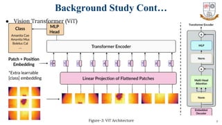 9
Background Study Cont…
Figure-3: ViT Architecture
● Vision Transformer (ViT)
 