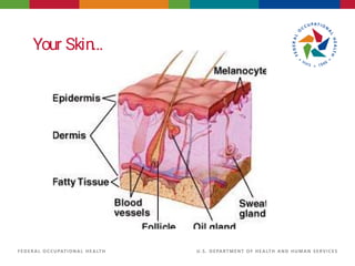 Identify The Skin Risk Skin cancer Risk, summary, types and treatment | PDF