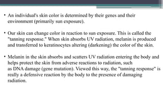 SKIN CANCER - Anatomy of skin, Risk factors, Treatment . | PPTX