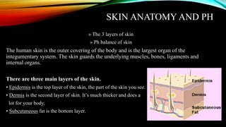 Skincare and haircare detailed guidelines | PDF