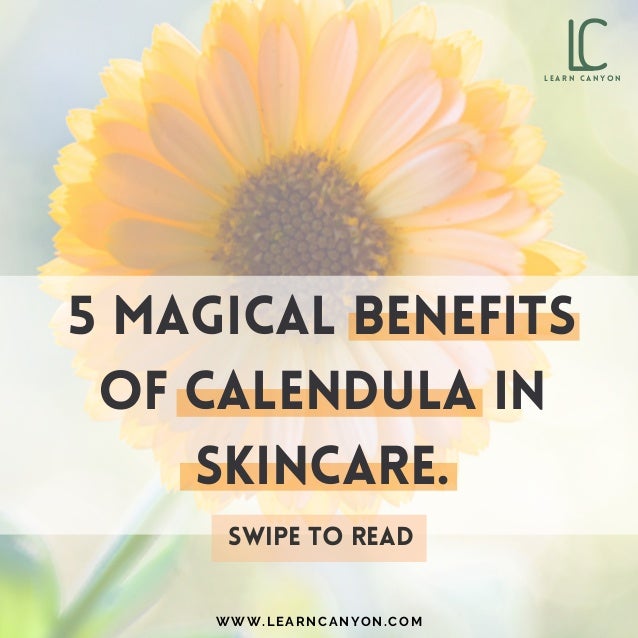 L
C
L E A R N C A N Y O N
WWW.LEARNCANYON.COM
5 magical benefits
of calendula in
skincare.
SWIPE TO READ
 