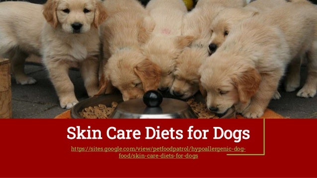 Skin Care Diets for Dogs
https://sites.google.com/view/petfoodpatrol/hypoallergenic-dog-
food/skin-care-diets-for-dogs
 