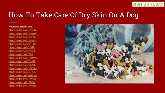 How To Take Care Of Dry Skin On A Dog
Recommended Links:
https://mgyb.co/s/LXgQy
https://mgyb.co/s/JmEpP
https://mgyb.co/s/YkxWx
https://mgyb.co/s/ZtAoG
https://mgyb.co/s/nKSCp
https://mgyb.co/s/zQlBq
https://mgyb.co/s/xXoLL
https://mgyb.co/s/RlzlI
https://mgyb.co/s/GNMVE
https://mgyb.co/s/ZowNj
https://mgyb.co/s/BcAyE
https://mgyb.co/s/zQwVg
https://mgyb.co/s/eEweD
https://mgyb.co/s/eaWNn
https://mgyb.co/s/WKCjc
https://mgyb.co/s/FIvQe
https://mgyb.co/s/xWkrE
VISIT US TODAY
 