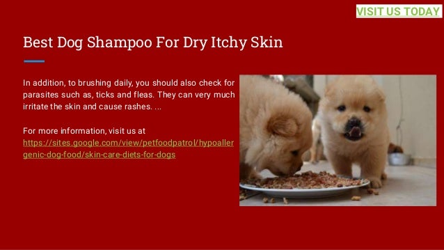 Best Dog Shampoo For Dry Itchy Skin
In addition, to brushing daily, you should also check for
parasites such as, ticks and fleas. They can very much
irritate the skin and cause rashes. ...
For more information, visit us at
https://sites.google.com/view/petfoodpatrol/hypoaller
genic-dog-food/skin-care-diets-for-dogs
VISIT US TODAY
 