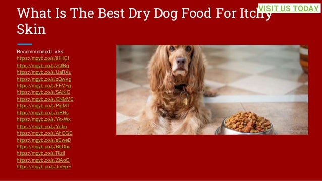 What Is The Best Dry Dog Food For Itchy
Skin
Recommended Links:
https://mgyb.co/s/tHHGf
https://mgyb.co/s/zQlBq
https://mgyb.co/s/UaRXu
https://mgyb.co/s/zQwVg
https://mgyb.co/s/FEVFg
https://mgyb.co/s/SAKIC
https://mgyb.co/s/GNMVE
https://mgyb.co/s/PipMT
https://mgyb.co/s/niRHs
https://mgyb.co/s/YkxWx
https://mgyb.co/s/Yefar
https://mgyb.co/s/AhGGE
https://mgyb.co/s/eEweD
https://mgyb.co/s/BbDbu
https://mgyb.co/s/RlzlI
https://mgyb.co/s/ZtAoG
https://mgyb.co/s/JmEpP
VISIT US TODAY
 