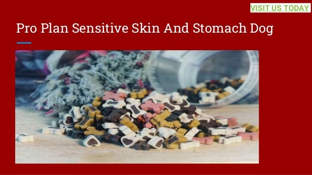Pro Plan Sensitive Skin And Stomach Dog
VISIT US TODAY
 