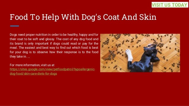Food To Help With Dog's Coat And Skin
Dogs need proper nutrition in order to be healthy, happy and for
their coat to be soft and glossy. The cost of any dog food and
its brand is only important if dogs could read or pay for the
meal. The easiest and best way to find out which food is best
for your dog is to observe how their response is to the food
they take in. ...
For more information, visit us at
https://sites.google.com/view/petfoodpatrol/hypoallergenic-
dog-food/skin-care-diets-for-dogs
VISIT US TODAY
 