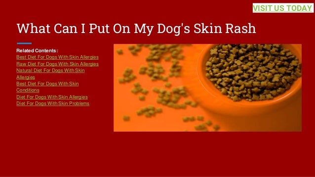 What Can I Put On My Dog's Skin Rash
Related Contents:
Best Diet For Dogs With Skin Allergies
Raw Diet For Dogs With Skin Allergies
Natural Diet For Dogs With Skin
Allergies
Best Diet For Dogs With Skin
Conditions
Diet For Dogs With Skin Allergies
Diet For Dogs With Skin Problems
VISIT US TODAY
 