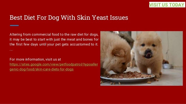 Best Diet For Dog With Skin Yeast Issues
Altering from commercial food to the raw diet for dogs,
it may be best to start with just the meat and bones for
the first few days until your pet gets accustomed to it.
...
For more information, visit us at
https://sites.google.com/view/petfoodpatrol/hypoaller
genic-dog-food/skin-care-diets-for-dogs
VISIT US TODAY
 