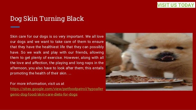 Dog Skin Turning Black
Skin care for our dogs is so very important. We all love
our dogs and we want to take care of them to ensure
that they have the healthiest life that they can possibly
have. So we walk and play with our friends, allowing
them to get plenty of exercise. However, along with all
the love and affection, the playing and long naps in the
afternoon, you also have to look after them; this entails
promoting the health of their skin. ...
For more information, visit us at
https://sites.google.com/view/petfoodpatrol/hypoaller
genic-dog-food/skin-care-diets-for-dogs
VISIT US TODAY
 