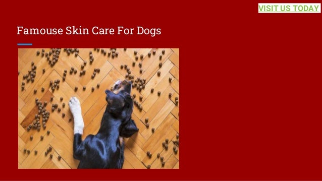Famouse Skin Care For Dogs
VISIT US TODAY
 