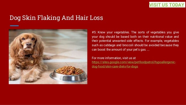 Dog Skin Flaking And Hair Loss
#5: Know your vegetables. The sorts of vegetables you give
your dog should be based both on their nutritional value and
their potential unwanted side effects. For example, vegetables
such as cabbage and broccoli should be avoided because they
can boost the amount of your pet's gas. ...
For more information, visit us at
https://sites.google.com/view/petfoodpatrol/hypoallergenic-
dog-food/skin-care-diets-for-dogs
VISIT US TODAY
 