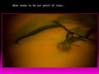 What seems to be our point of view….