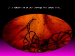 Is a reflection of what perhaps the camera sees…