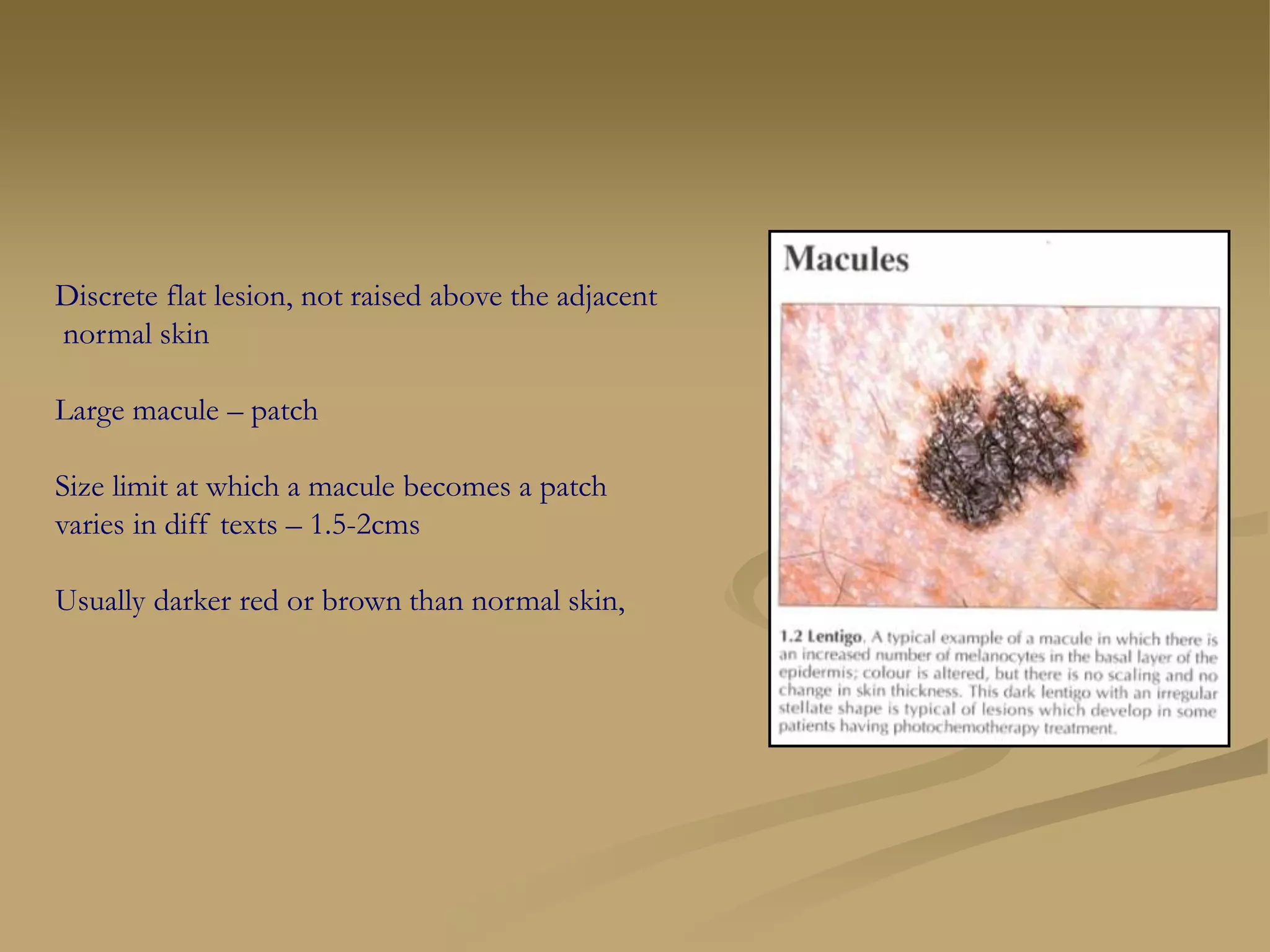 SKIN DISEASES and more.ppt