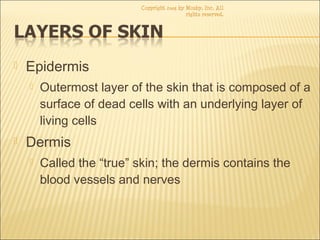  Epidermis
 Outermost layer of the skin that is composed of a
surface of dead cells with an underlying layer of
living cells
 Dermis
 Called the “true” skin; the dermis contains the
blood vessels and nerves
Copyright 2003 by Mosby, Inc. All
rights reserved.
 