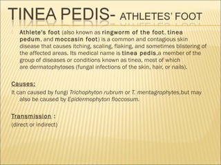  Athlete's foot (also known as ringworm of the foot, tinea
pedum, and moccasin foot) is a common and contagious skin
disease that causes itching, scaling, flaking, and sometimes blistering of
the affected areas. Its medical name is tinea pedis,a member of the
group of diseases or conditions known as tinea, most of which
are dermatophytoses (fungal infections of the skin, hair, or nails).
Causes:
It can caused by fungi Trichophyton rubrum or T. mentagrophytes,but may
also be caused by Epidermophyton floccosum.
Transmission :
(direct or indirect)
 