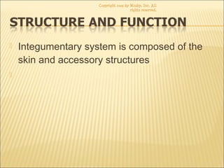  Integumentary system is composed of the
skin and accessory structures

Copyright 2003 by Mosby, Inc. All
rights reserved.
 