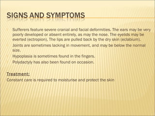  Sufferers feature severe cranial and facial deformities. The ears may be very
poorly developed or absent entirely, as may the nose. The eyelids may be
everted (ectropion), The lips are pulled back by the dry skin (eclabium).
 Joints are sometimes lacking in movement, and may be below the normal
size. 
 Hypoplasia is sometimes found in the fingers. 
 Polydactyly has also been found on occasion.
Treatment:
Constant care is required to moisturise and protect the skin
 