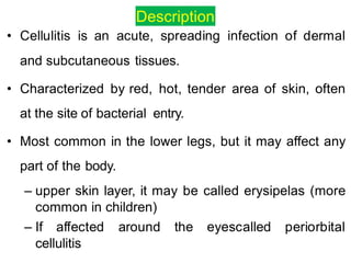 REVIEW OF SKIN DISORDER | PPTX