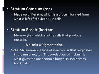 Skin disorders | PPT