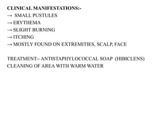 CLINICAL MANIFESTATIONS:-
→ SMALL PUSTULES
→ ERYTHEMA
→ SLIGHT BURNING
→ ITCHING
→ MOSTLY FOUND ON EXTREMITIES, SCALP, FACE
TREATMENT:- ANTISTAPHYLOCOCCAL SOAP (HIBICLENS)
CLEANING OF AREA WITH WARM WATER
 