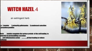 WITCH HAZEL.4
               an astringent herb


A.c: 1.tannins 2.primarily gallotannins 3.condensed catechins
4.proanthocyanidins


Mech: __tannins coagulate the surface protein of the cell leading to
reduction in permeability& secretion
___anti inflammatory action …………….all that leading to reduce
erythema
 