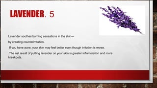 LAVENDER. 5

Lavender soothes burning sensations in the skin—
by creating counterirritation.
If you have acne, your skin may feel better even though irritation is worse.
 The net result of putting lavender on your skin is greater inflammation and more
breakouts.
 