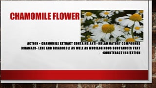 CHAMOMILE FLOWER

      ACTION • CHAMOMILE EXTRACT CONTAINS ANTI-INFLAMMATORY COMPOUNDS
  (CHAMAZU- LENE AND BISABOLOL) AS WELL AS MUCILAGINOUS SUBSTANCES THAT
                                                . • COUNTERACT IRRITATION
 
