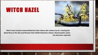 WITCH HAZEL


   Witch hazel contains hamamelitannins that reduce skin redness by de- creasing the
blood flow to the skin and flavones that inhibit histamine release. Bacteriostatic action
                                                                 has also been reported
 