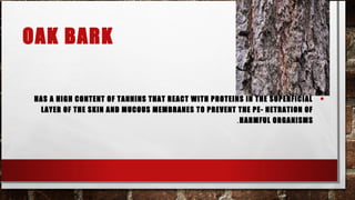 OAK BARK

 HAS A HIGH CONTENT OF TANNINS THAT REACT WITH PROTEINS IN THE SUPERFICIAL   •
  LAYER OF THE SKIN AND MUCOUS MEMBRANES TO PREVENT THE PE- NETRATION OF
                                                     . HARMFUL ORGANISMS
 